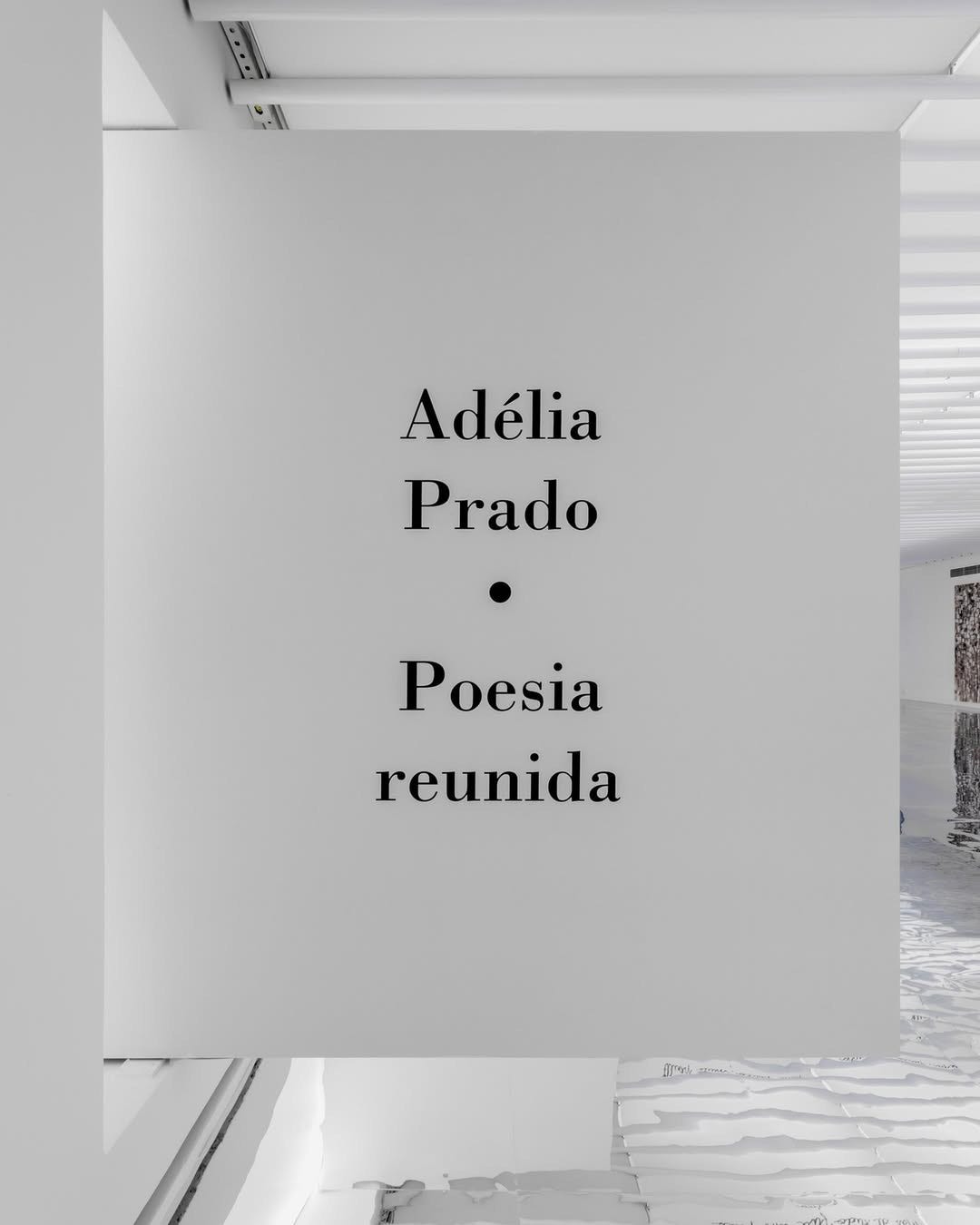 From: Shirley Paes Leme: When attitudes (trans)form / Quando atitudes (trans)formam, ​Curated by Cauê Alves, Galeria de Arte do Centro Cultural Minas, Belo Horizonte, 2014 [© Shirley Paes Leme. Photo: Eduardo Eckenfels, Leonardo Finotti]