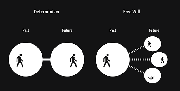 Do We Really Have Free Will, or Are We Just Fancy Coffee Machines?