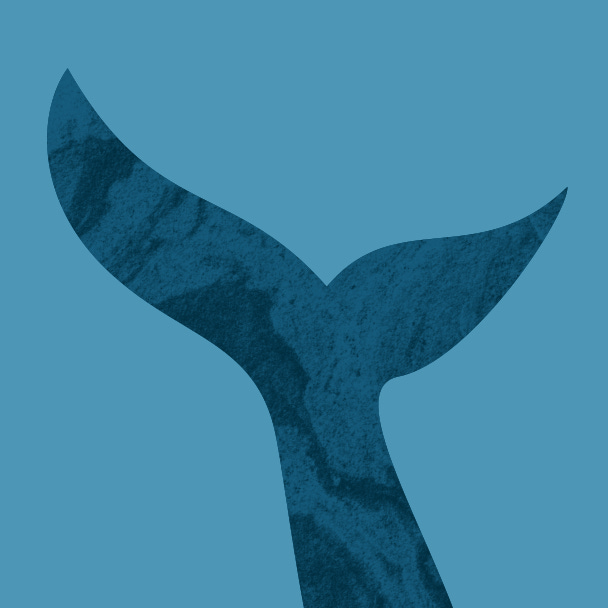 Swim Lessons with Ali Lawrence