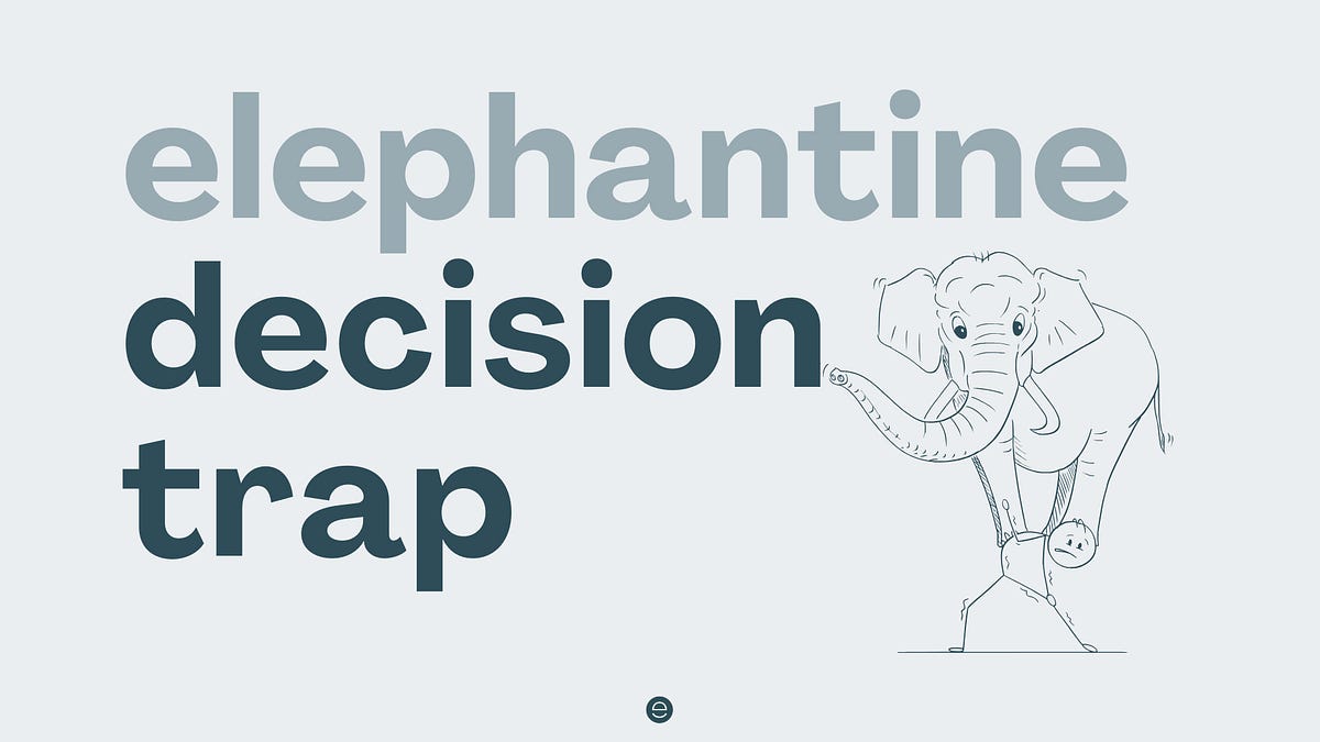 Circus elephant teaches about meetings 🐘