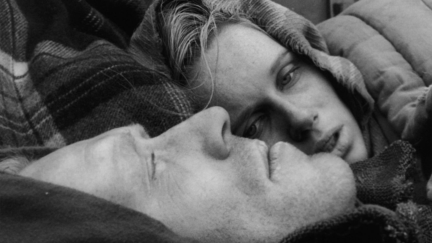 Shame: Twilight of the Humans | Current | The Criterion Collection Shame: Twilight of the Humans | Current | The Criterion Collection