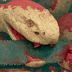A Wound With No Enemy