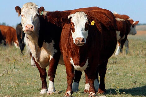 Es un cambio histórico, remarcan los especialistas. Es un cambio histórico, remarcan los especialistas.