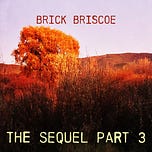 Somewhere with Brick Briscoe