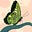 Avatar de Marissol Crepaldi