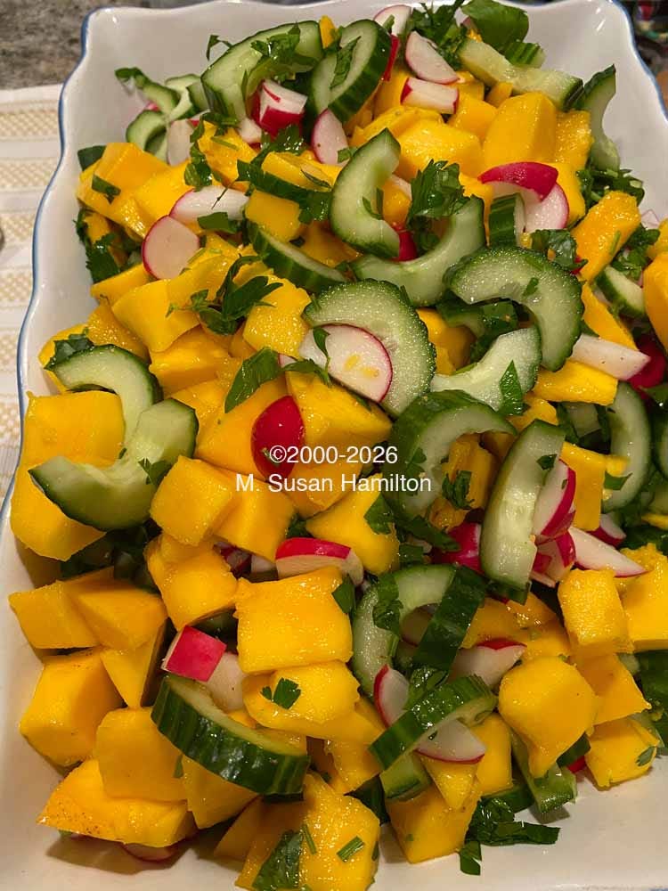 ucumber-Mango-Fennel Salad