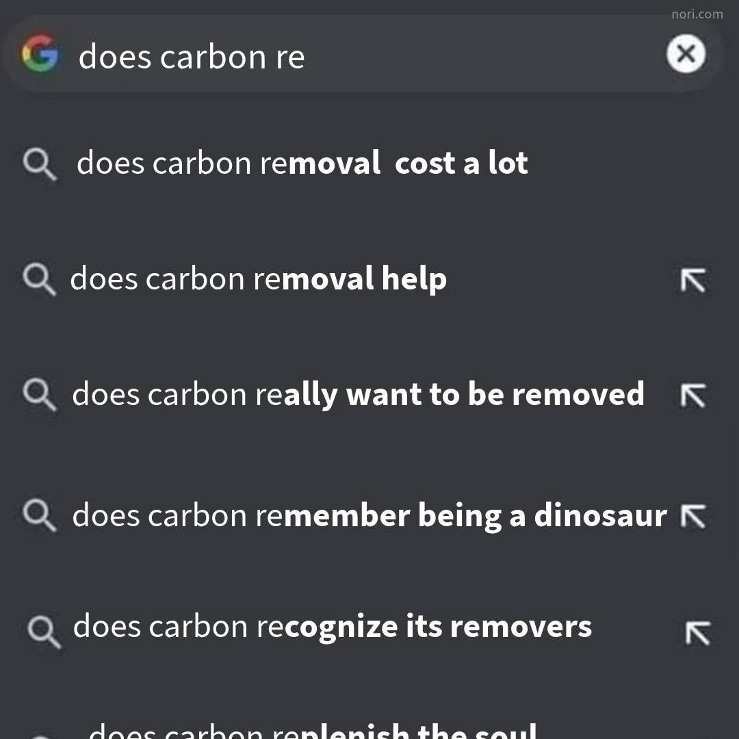 A search bar reading "does carbon re" with suggestions: "does carbon removal cost a lot", "does carbon removal help", "does carbon really want to be removed", "does carbon remember being a dinosaur", "does carbon recognize its removers", "does carbon replenish the soul".