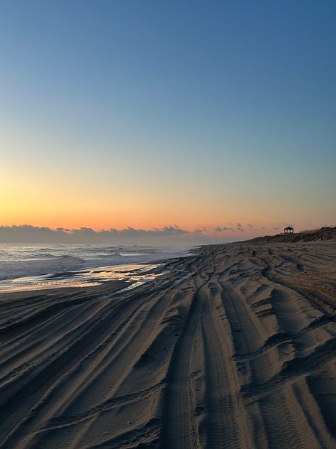 Shells, horses, and sunrises on the beach in Carova NC