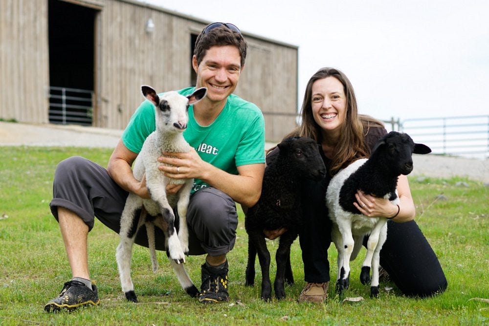Hanging with our favorite lambs at Farm Sanctuary.