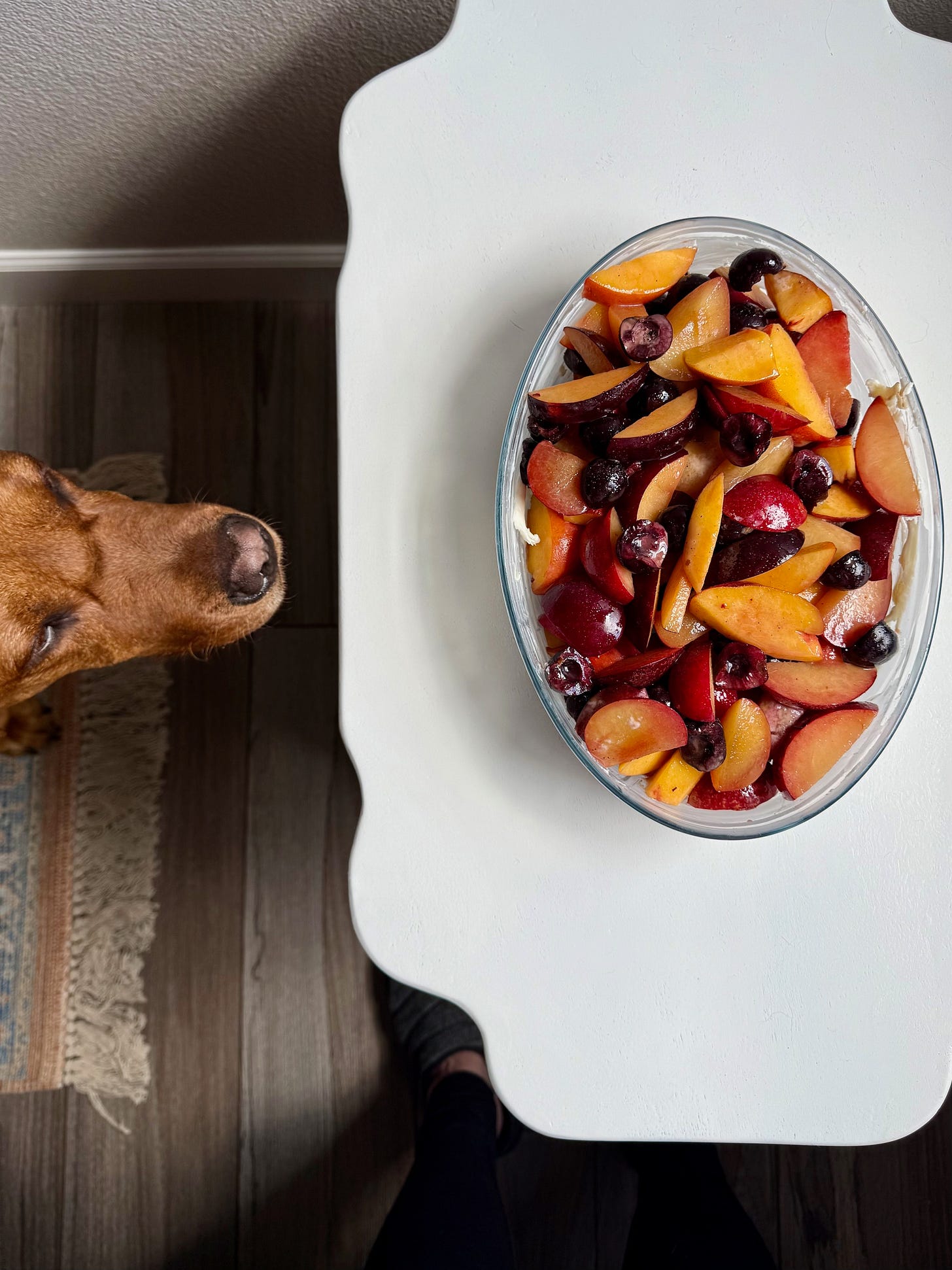 a dog sniffing a dish of fruit. Studio Delicious.com