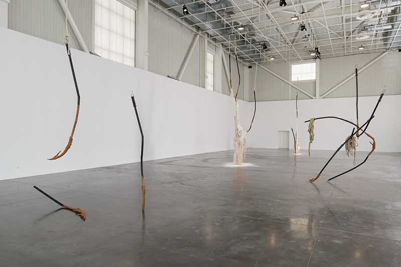 An Interview with Dominique White | Berlin Art Link