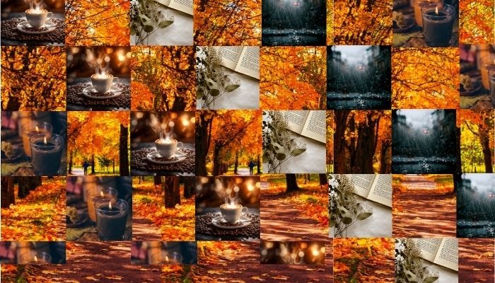 Meditations on Virgo Season