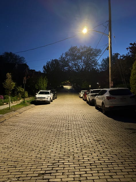 Photos depicting a neighborhood street during one of the author's nightly walks with her husband and a dinner of rice, chicken, and veggies.