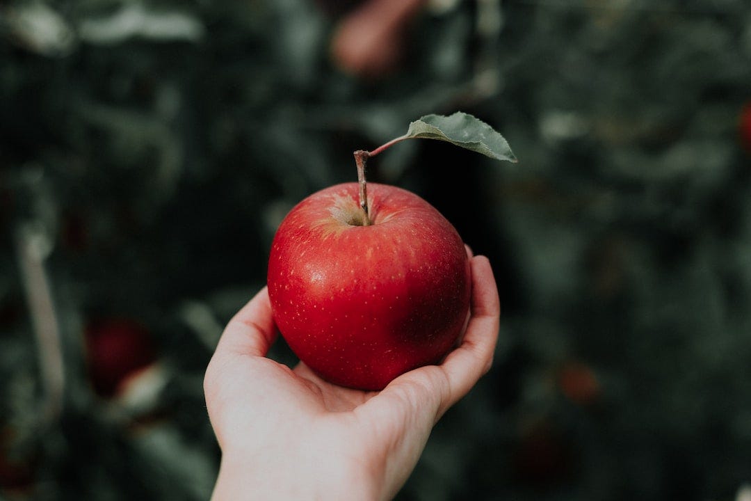 one red apple one red apple