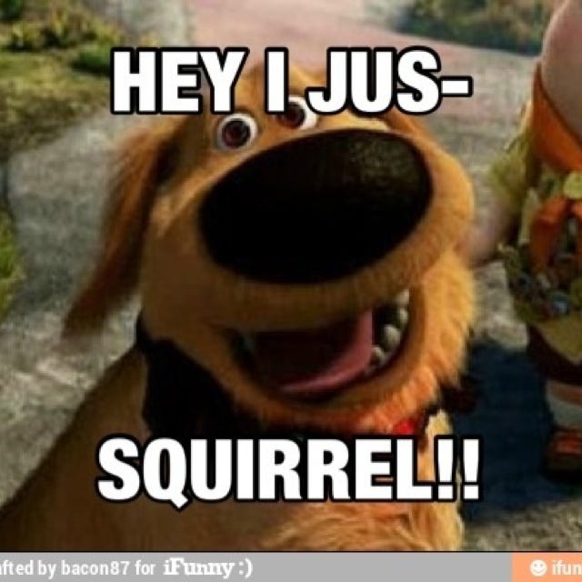 Dug from the movie Up :)