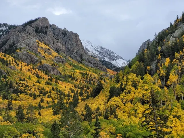 Fall Foliage Expected to Peak Early in the SLV