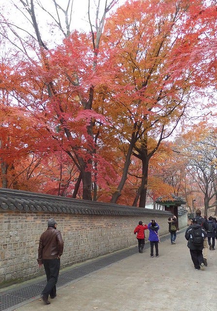 Secret Garden at Changdeokgung Palace Secret Garden at Changdeokgung Palace