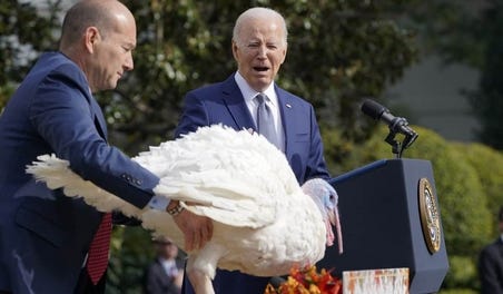 bidenturkey.jpg