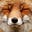 fox's avatar