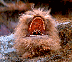 Fizzgig! The best pet ever!