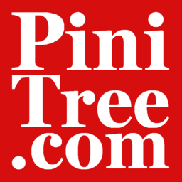 Substack profile picture for @pini