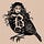 Letters From a Bird