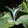 Marineplanet's avatar