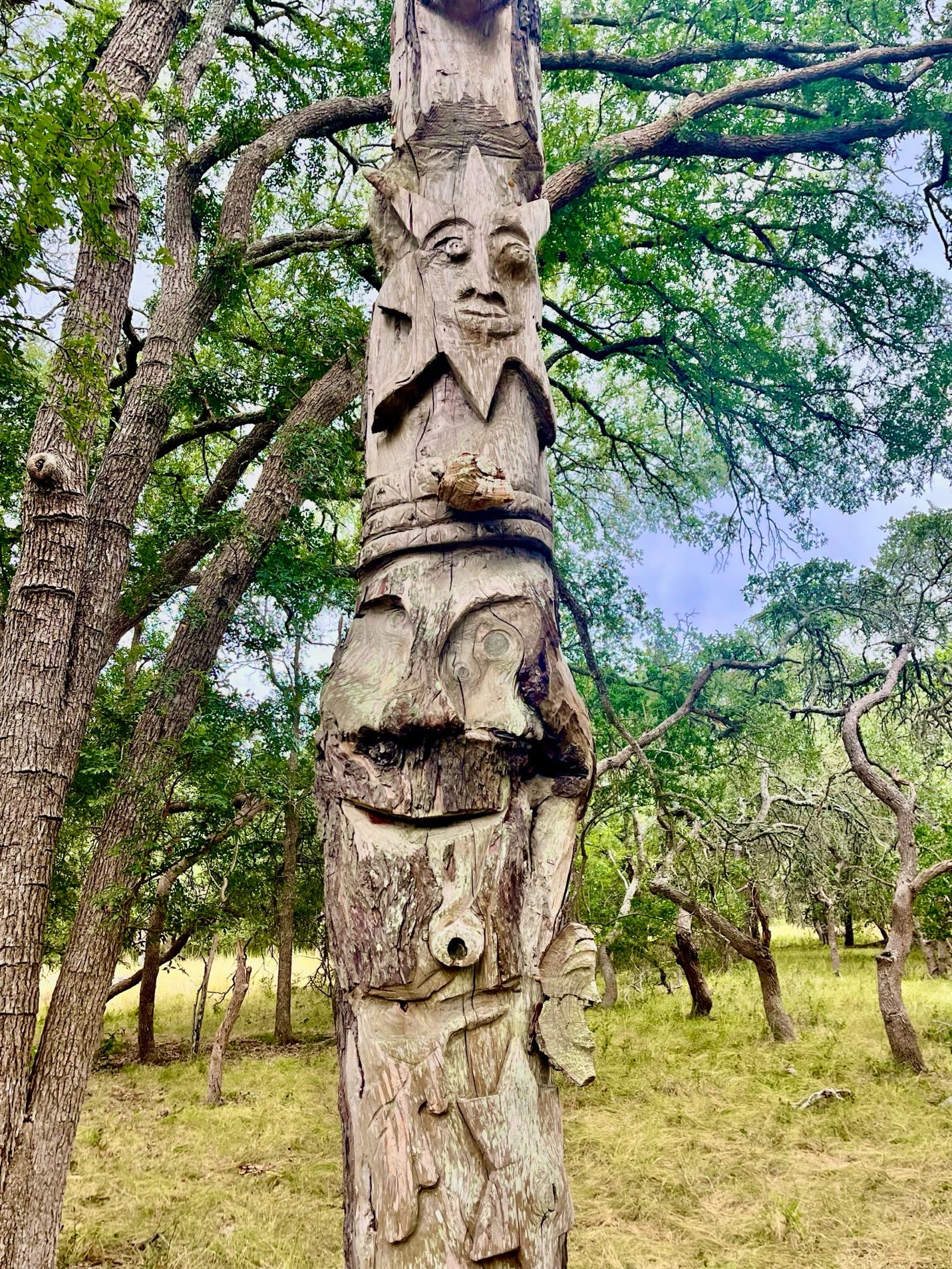 A tree trunk with a face carved on it

AI-generated content may be incorrect.