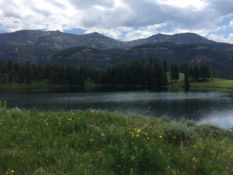 Trip photos from the past few years