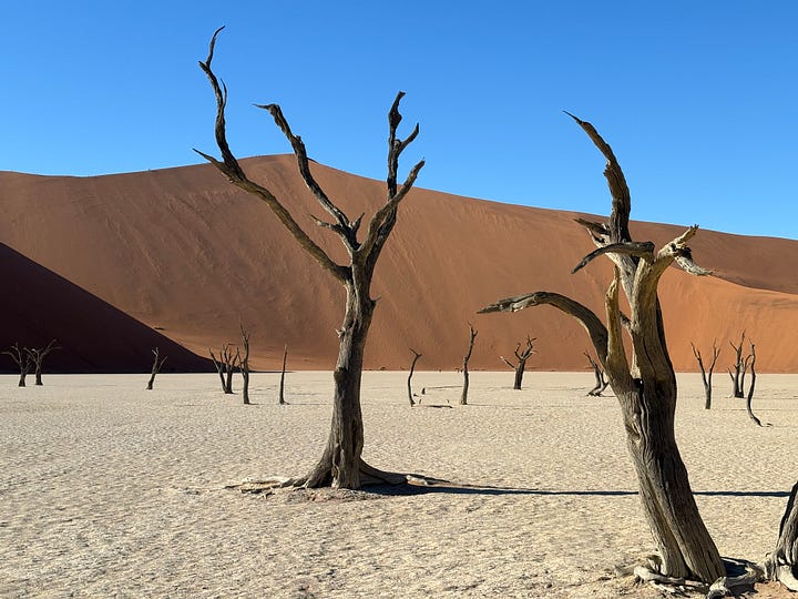 Scenes from the Namibian desert. And Land Cruising around Namibia.