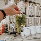How wine is made in a city like Brooklyn