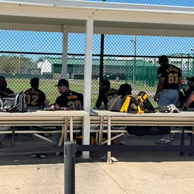 Reports on pitchers throwing in the Dominican Instructs