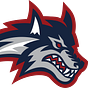 Braden D'Aniello's avatar