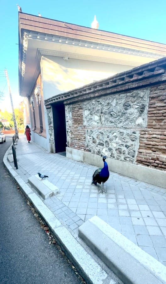 Capture d’écran 2026-03-15 à 16.15.45.png Capture d’écran 2026-03-15 à 16.15.45.png