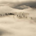 The scenarios no one will put in a deck