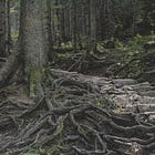 The Roots That Clutch