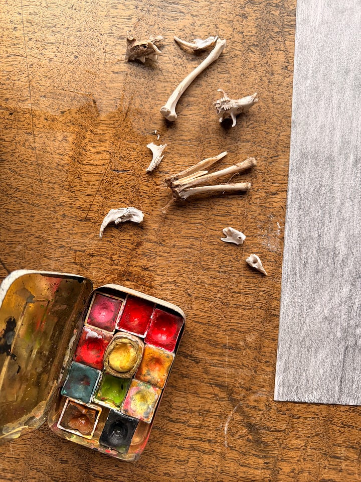 mouse bones, paints, yukka plant tools