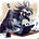 Aaron Crow's avatar