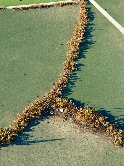 How the tennis courts looked before