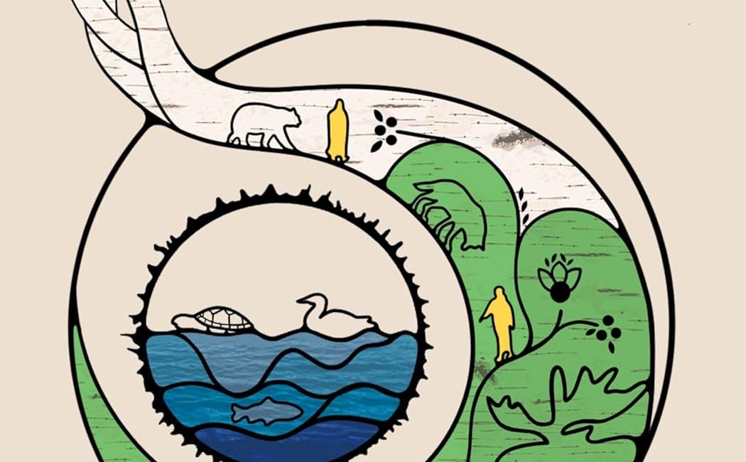 Renewal: Indigenous Perspectives on Land-Based Education In and Beyond the Classroom, Edited by Katya Adamov Ferguson, Christine M'Lot