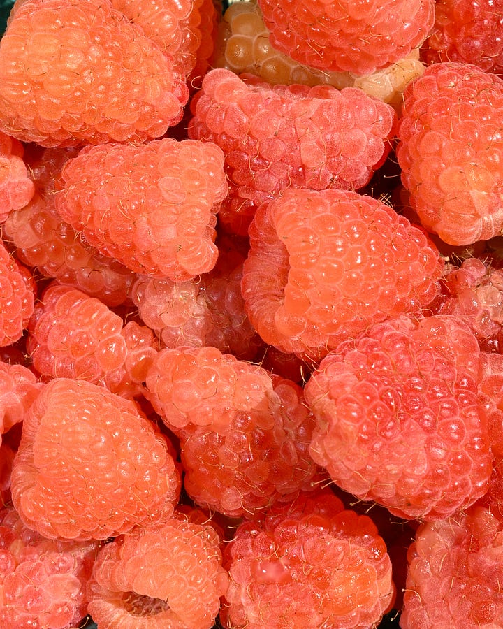 sucker for a light blue box of raspberries