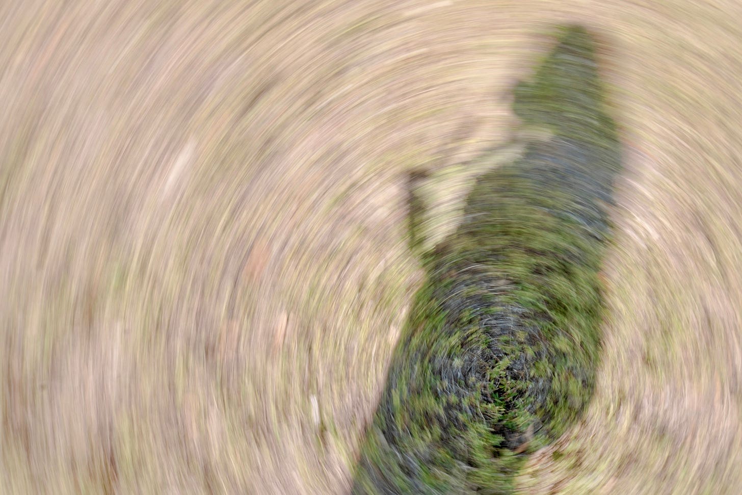 Blurred shadow over grass with an artistic swirl effect representing chronic liminality on Kay Fabella's Edgewalkers Collective for long-term expats and globally mobile folks navigating long-term life abroad Blurred shadow over grass with an artistic swirl effect representing chronic liminality on Kay Fabella's Edgewalkers Collective for long-term expats and globally mobile folks navigating long-term life abroad