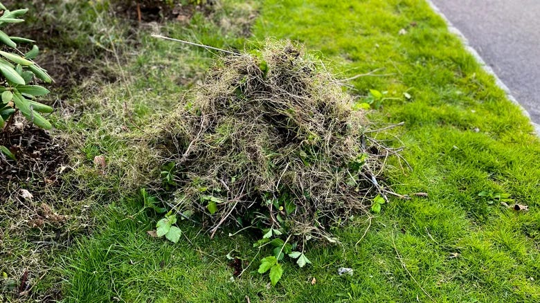 Particle 101: Weeds Particle 101: Weeds