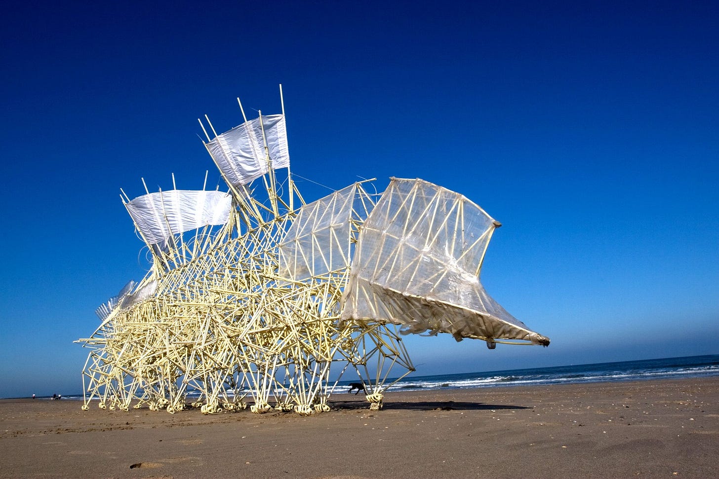 Here's Your Chance to Play With a Wind-Powered Strandbeest | WIRED