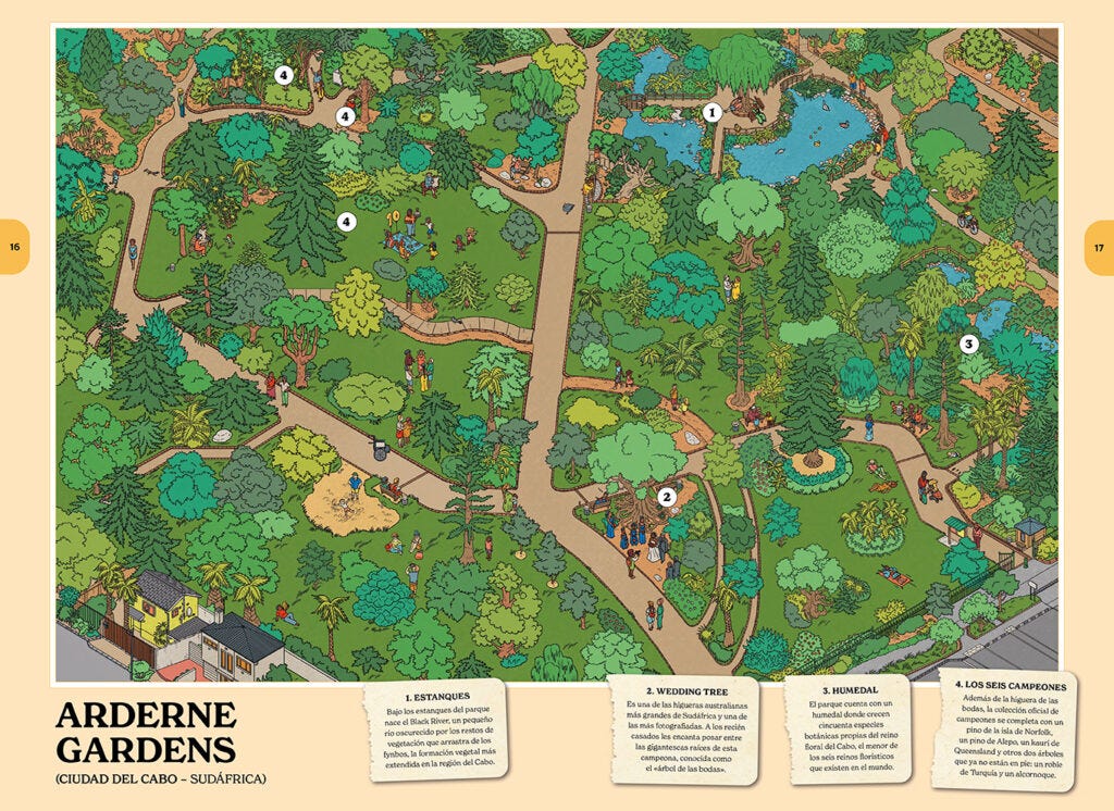 una ilustración de un parque, los arderne gardens de Ciudad del Cabo