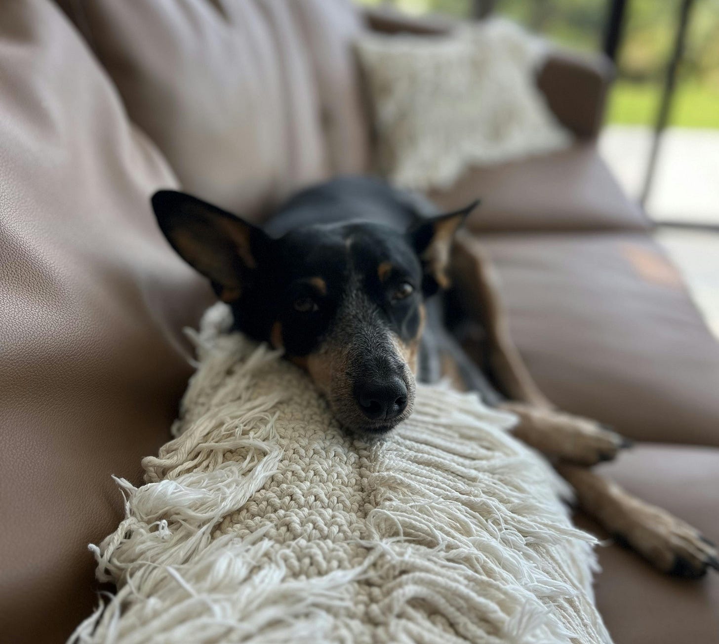 035: To Be, Or Not to Be... 035: To Be, Or Not to Be...