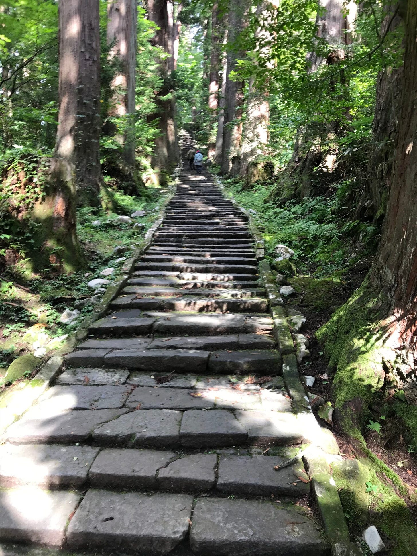 Dewa Sanzan, Yamagata, Treppe Dewa Sanzan, Yamagata, Treppe