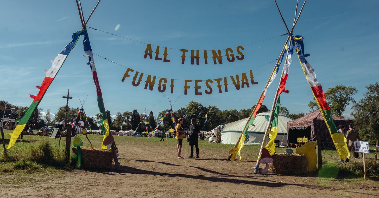 Photograph showing the entrance to the festival, with 'All Things Fungi Festival' spelled out on a banner across the entrance, with colourful flags.