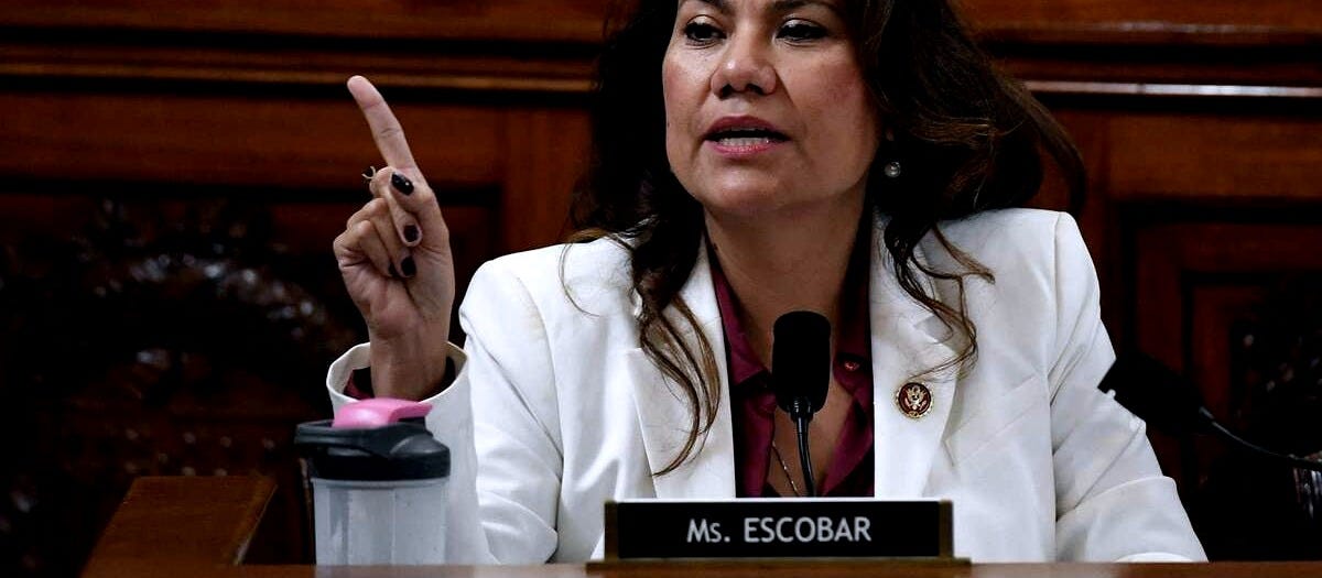 Texas Rep. Escobar will give Democrats' response to Trump State of the ...