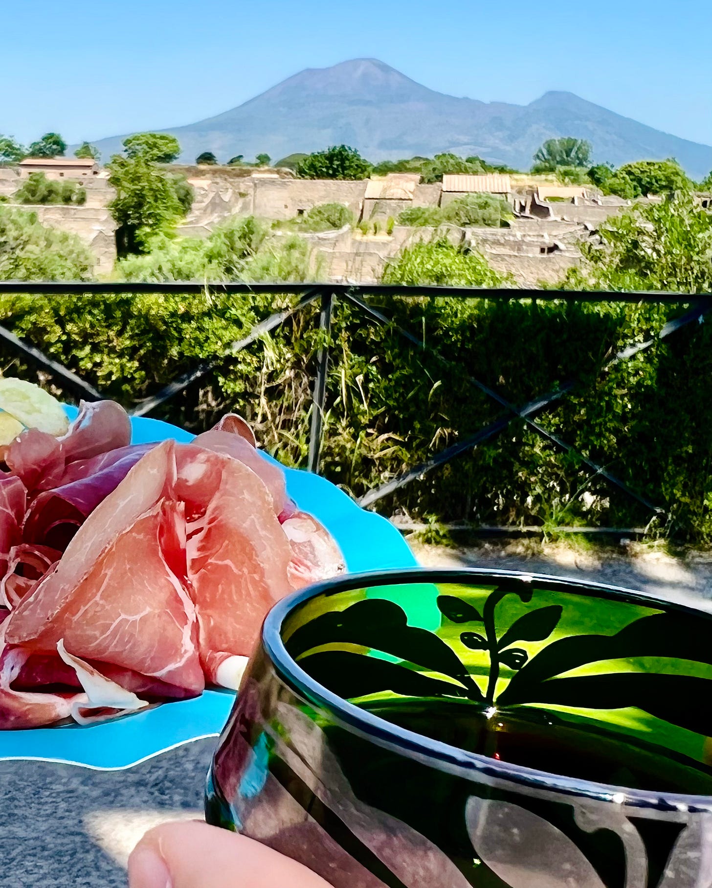 Parkway Picnics - by Mary Kate Murray and Robert Simonson